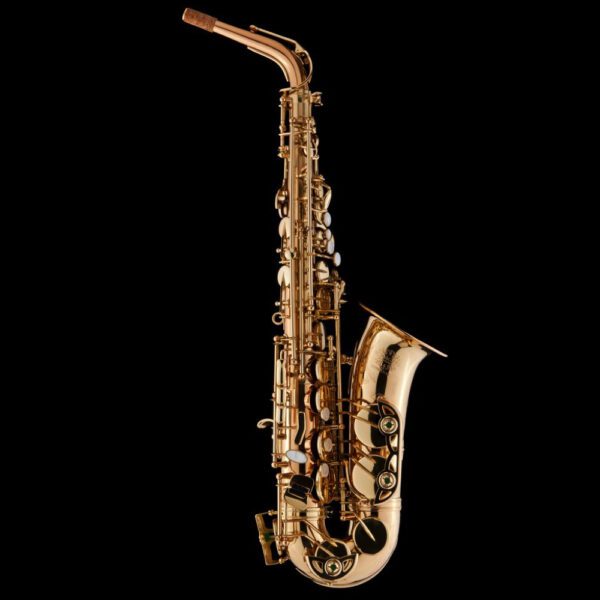 Schagerl Superior 1L Eb Alto Saxophone - Lacquered finish