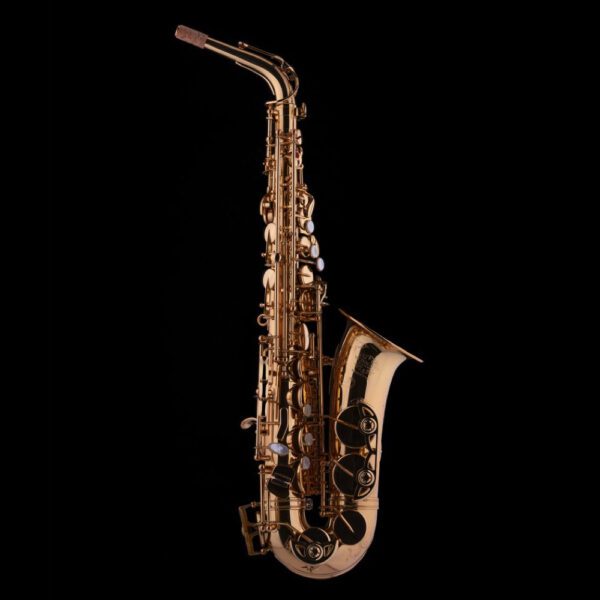 Schagerl Superior PRO 2L Eb Alto Saxophone - Lacquered finish