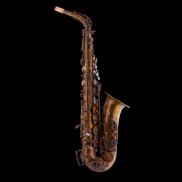 Schagerl Superior PRO 2V Eb Alto Saxophone - Vintage finish