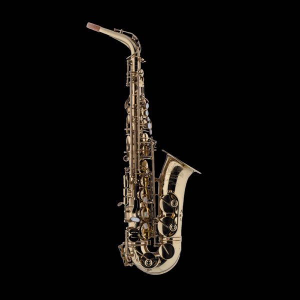 Schagerl Model 66 Eb Alto Saxophone, with high F# key - Lacquered finish