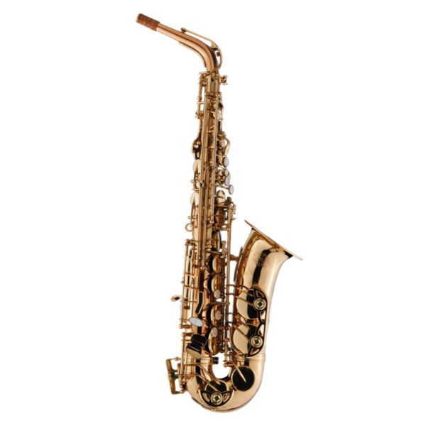 Schagerl 355 Advanced Student Eb Alto Saxophone - Lacquered Finish
