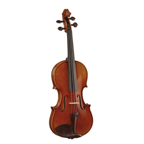 Heinrich Gill X5 Master Violin