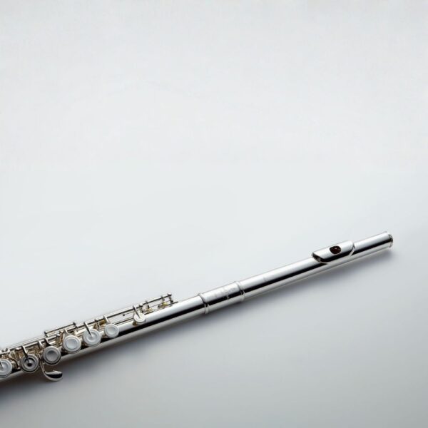 Pearl Flute PF-DPRBE-V Primo Series 'DP' Semi-Professional Flute